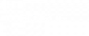 logo-rogue